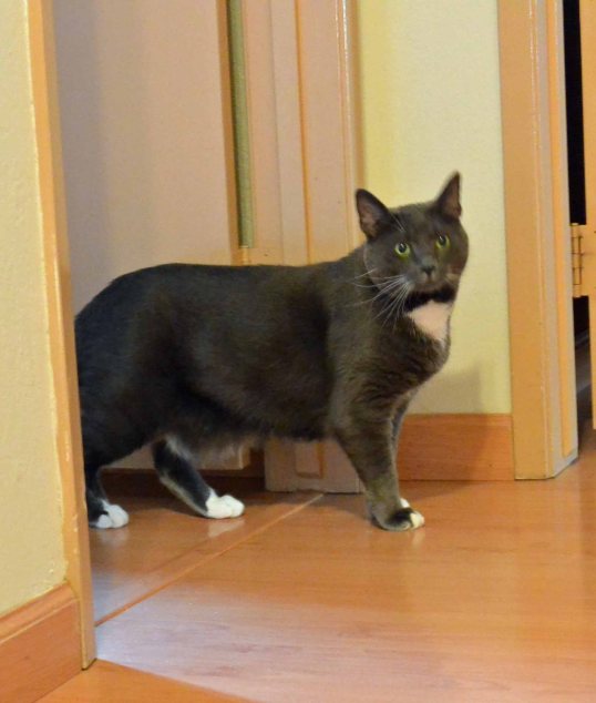 Ok TKS...this room is 'clear'...nothing dangerous