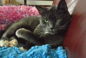 Excuse me while I take 'five'...be right back