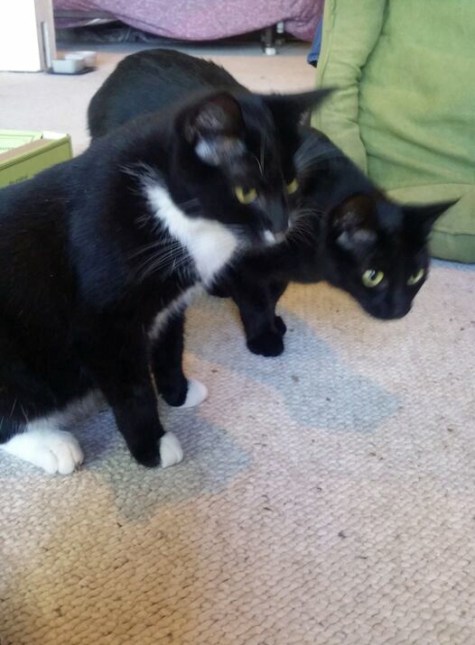 Are we asking for too much?