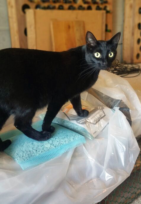 See, I am totally your most slimming affect