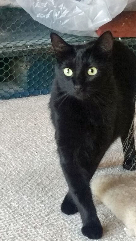 I know I cannot live here forever