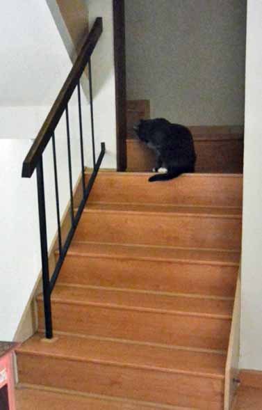 *slurp, lick, slurp, lick*