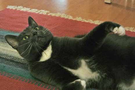 Come any closer and you will regret it!!