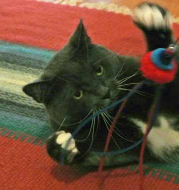 Come on...you are gonna be MINE!