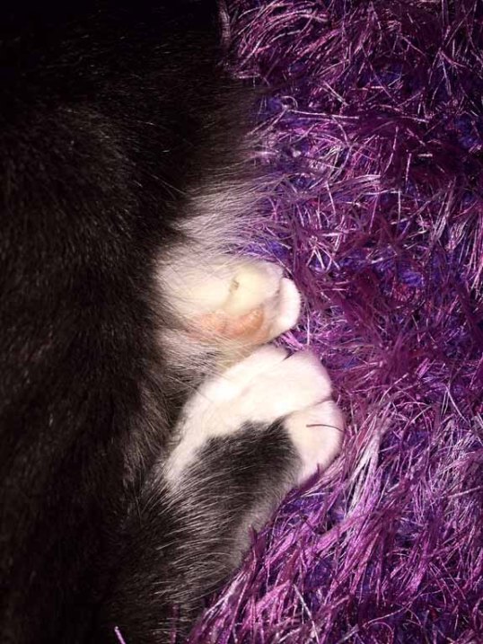 Don't you just wanna give those toesies a smoochie?