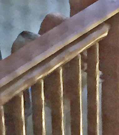 Can you see that SIbe 'snooter'???