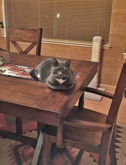 You're sure Mom L? Honestly? Ok...then I'll meet you upstairs...bring the food