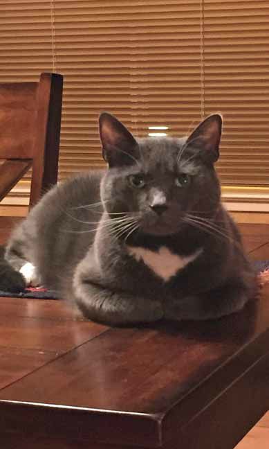 Well, you certainly took your time...