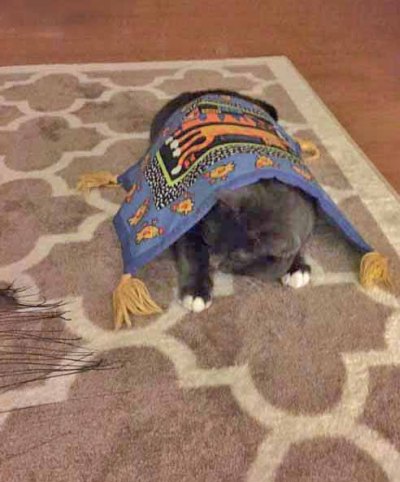 I think I'm safe...no one around to see me