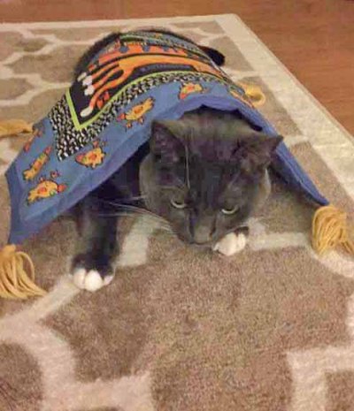 NOOO!!! Caught with my turtle shell on!