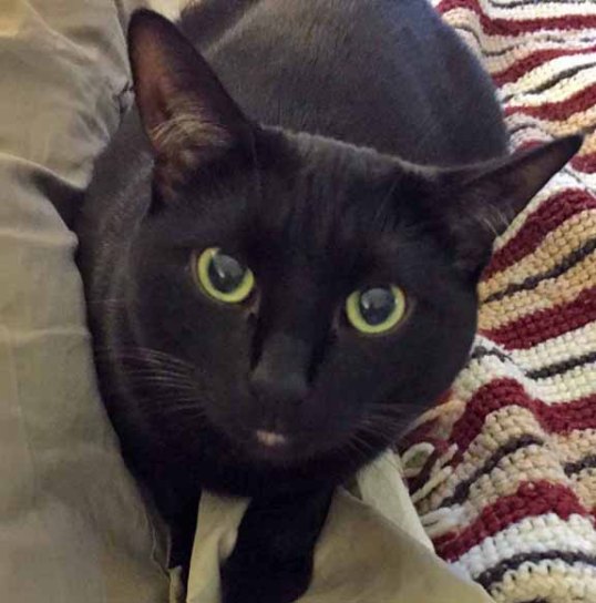 Hurry up Mom, let's get to the important part...treats!