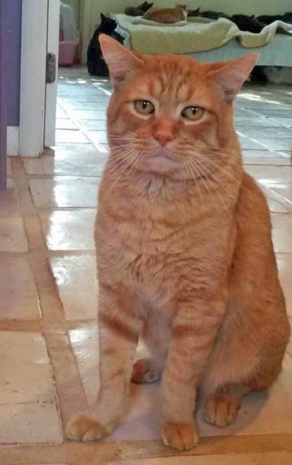 Oh hello all...I am a bit nervous...