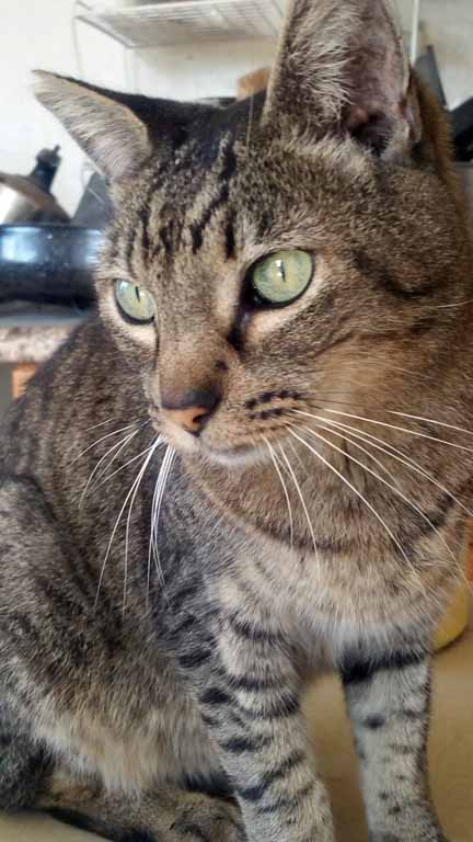 Do I look healthy and fit?