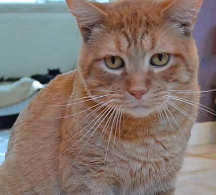 Oh Savannah, you have no idea how lonely I was for human touch