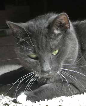 Tell me I did not see that!