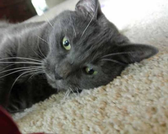 How much longer do I have to keep this secret??