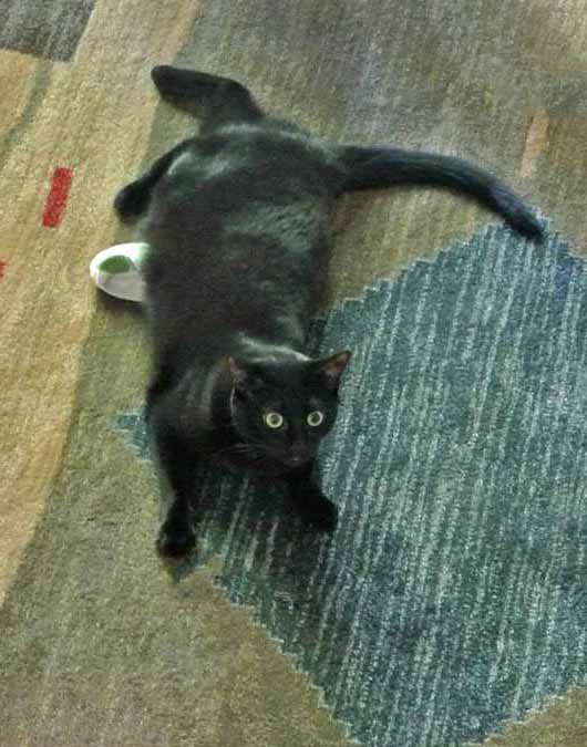 What'd'ya mean its been forever? I just finished my cool down.