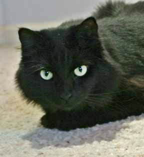 Savannah, you are too kind