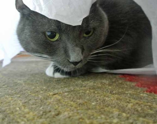 shhh...no one must know until revealed on Wednesday