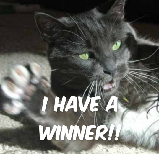 Woo Hoo!! You won't believe who won!!