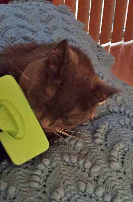 WAIT!!! What do I smell?? Surely NOT TKS!!!