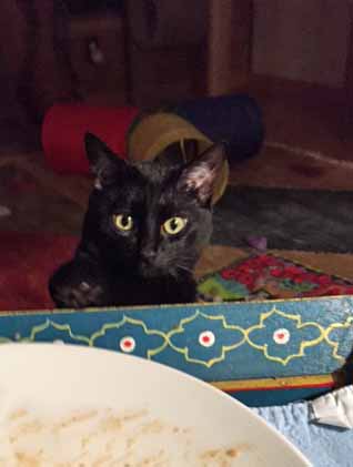 I see there is a ton more for you over there