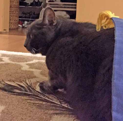 I am soooo outta here!!