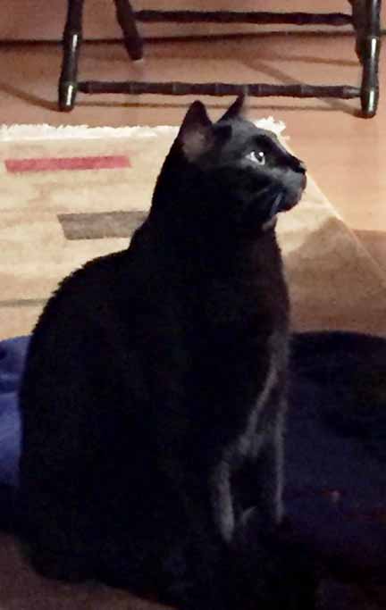 *silent eye begging*