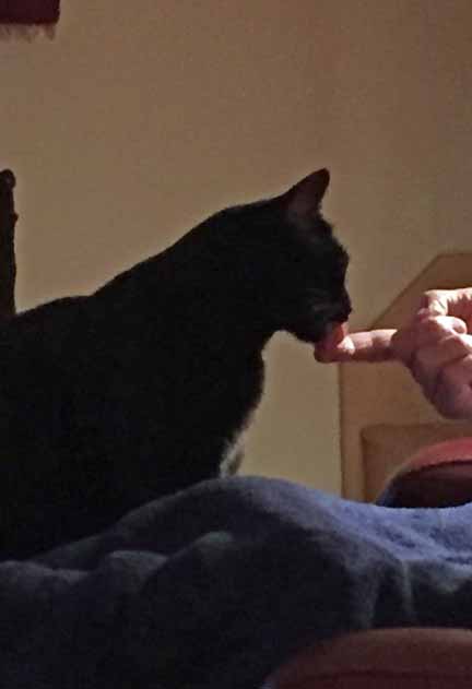 Oh thank you, thank you...such a gift