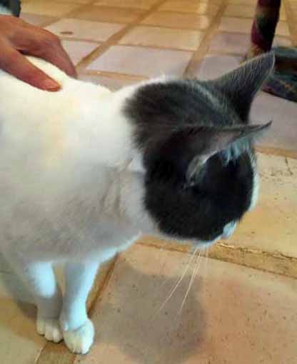 Hey camera lady, did you move that time?