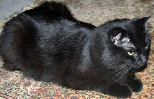 This will be difficult to talk about