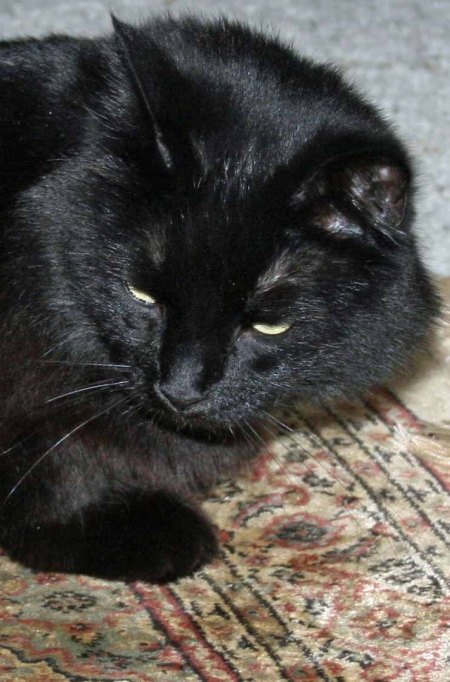 I know I ask for too much