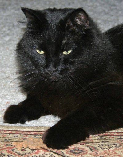 Pleased to make your acquaintance 