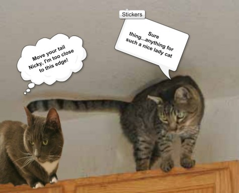 This is just not right! Too high!