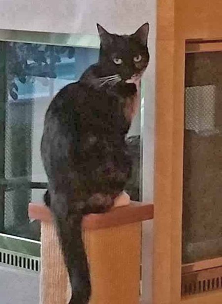 What do you mean I am 'not' in charge??