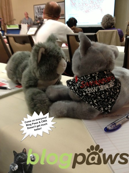 BP CWA Savvy approves