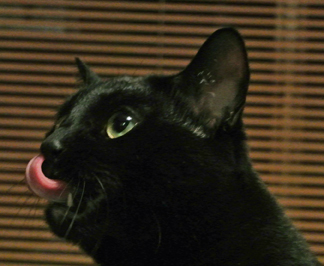 *slurp* tasty, very, very tasty