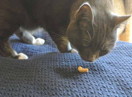 *sniff, sniff* You want to do what?...with this!