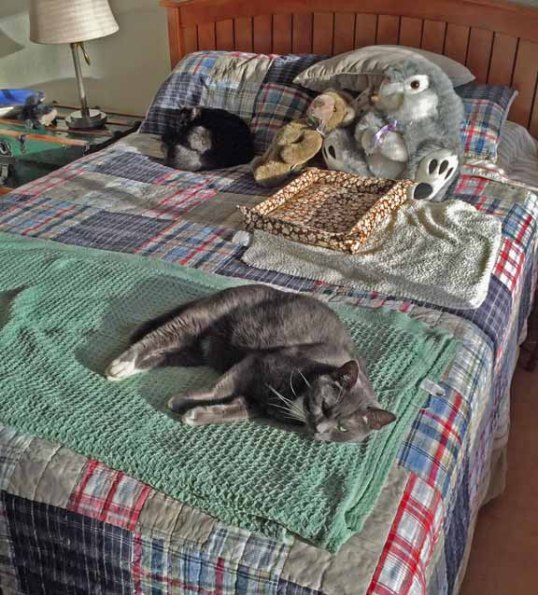 Seriously Dad, you are interrupting our beauty nap 