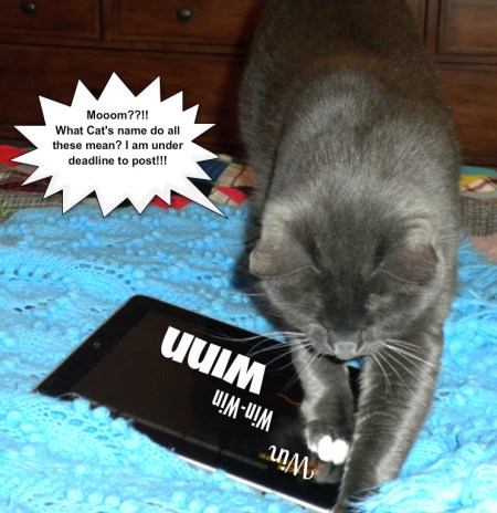 savvy confused over winn