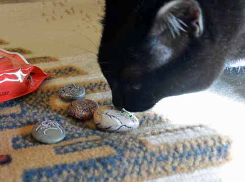 Yes, Mom L, these are very nice Cat Rocks