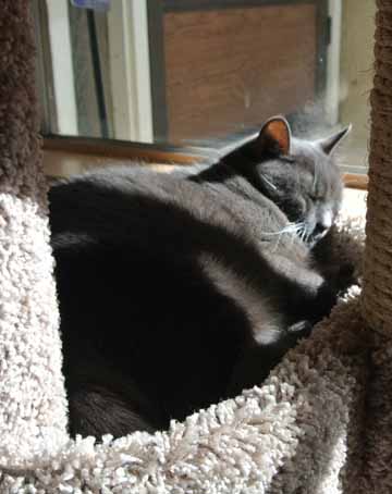 Ahhh...now I can stretch out