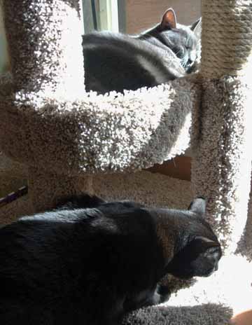 ummm...mind if I take this little part right here?