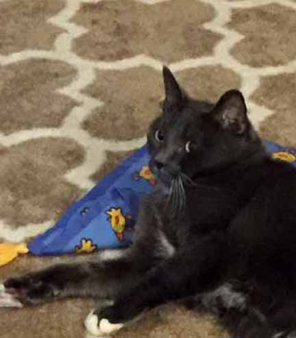 Are you talkin' to me TKS? Don't use that tone with me