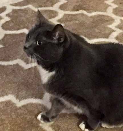 Did you have something to say to me? Did I hear you call me an 'introoder'?