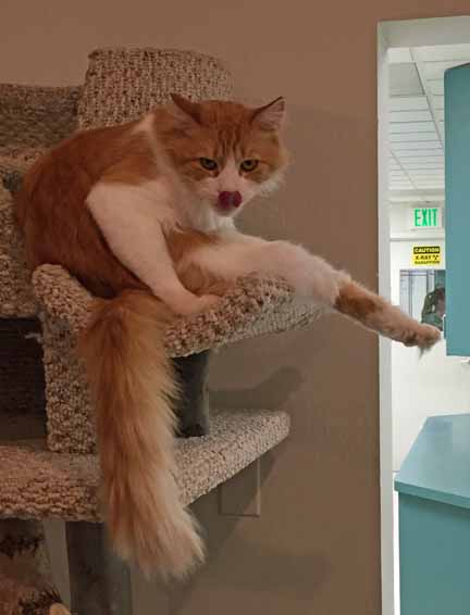 Hey Savvy! You know they will do the "take her temp" thing...heh...heh