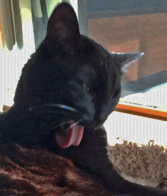 pfftttt to this selfie stuff...*giggles*