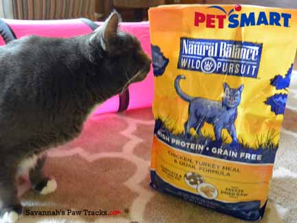 Who is that blue cat?