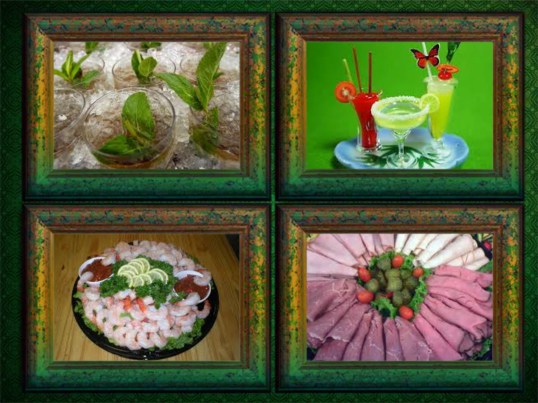 Anipal friendly noms