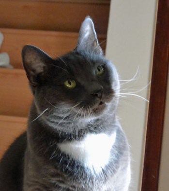 Ummm...nope Ms Pet Sitter...I definitely did not do...ummm...'that'